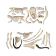 Load image into Gallery viewer, Dig Kit: T-rex e Pteranodon
