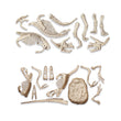 Load image into Gallery viewer, Jurassic World - Dino kit 2in1 Triceratops+Velociraptor
