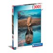 Load image into Gallery viewer, Self Reflection - 300 pieces
