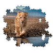 Load image into Gallery viewer, Self Reflection - 300 pieces
