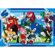Load image into Gallery viewer, Sonic - 300 pieces
