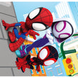 Load image into Gallery viewer, Marvel Spidey &amp; His Amazing Friends - 3x48 pieces
