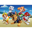 Load image into Gallery viewer, Paw Patrol - 60 pieces
