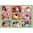 Load image into Gallery viewer, Puppies Collage - 180 pieces
