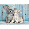 Load image into Gallery viewer, Cat &amp; Bunny - 500 pieces
