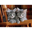 Load image into Gallery viewer, Kittens - 500 pieces
