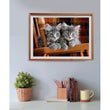 Load image into Gallery viewer, Kittens - 500 pieces
