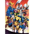 Load image into Gallery viewer, Marvel Xmen - 1000 pieces
