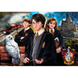 Load image into Gallery viewer, Harry Potter - 1000 pieces

