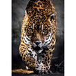 Load image into Gallery viewer, Walk Of The Jaguar - 1000 pieces

