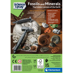 Fossils and Minerals