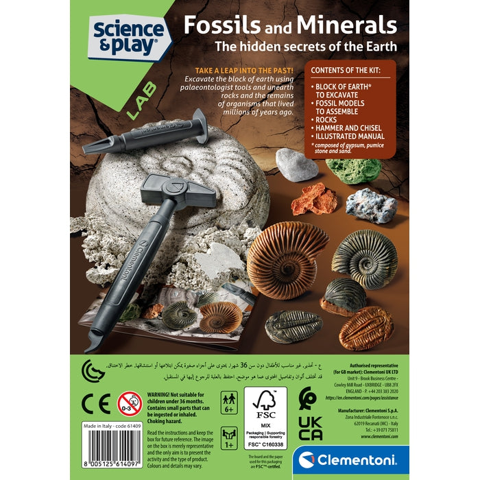 Fossils and Minerals