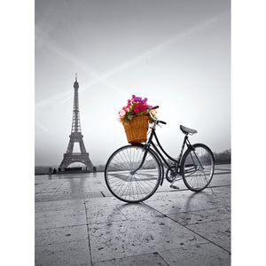 Romantic promenade in Paris - 500 pieces