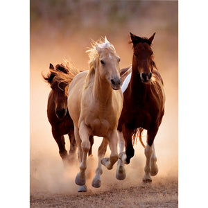 Horses - 1000 pièces – Clementoni ES