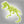 Load image into Gallery viewer, Archeofun T- Rex  Glow in the Dark
