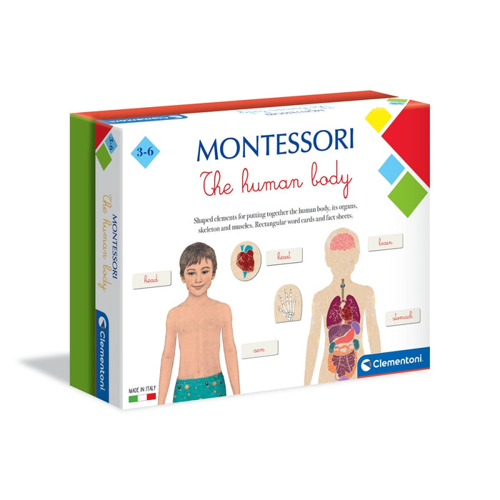Montessori - Human body